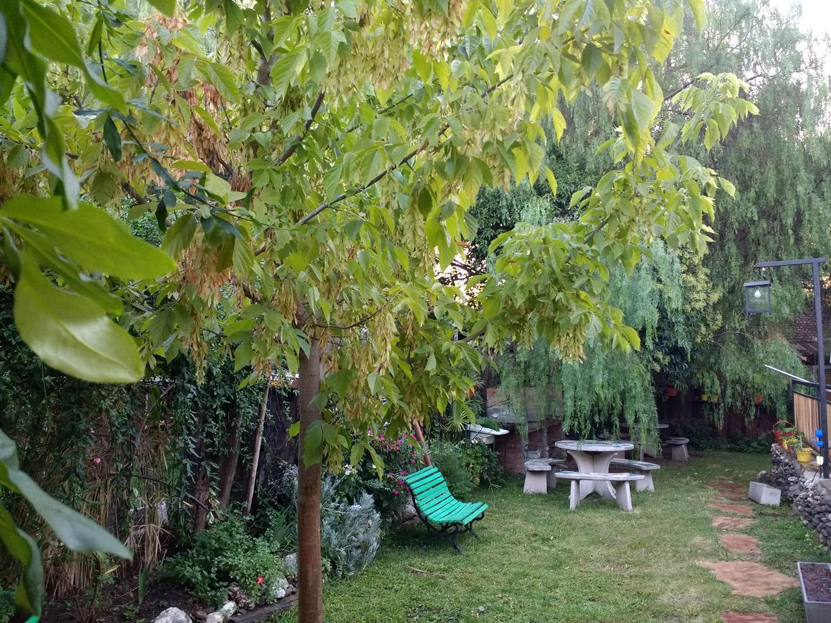 Complejo Arabela Daire Merlo Dış mekan fotoğraf